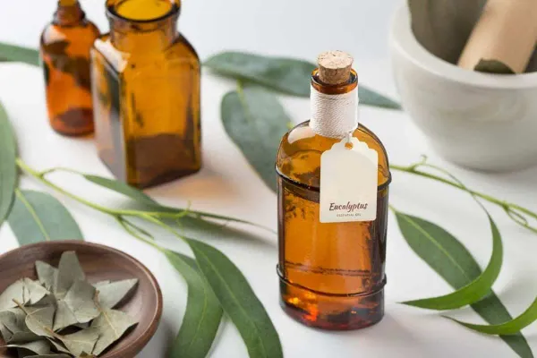What Does Eucalyptus Smell Like?