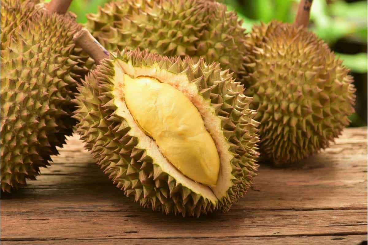Durian Fruit 