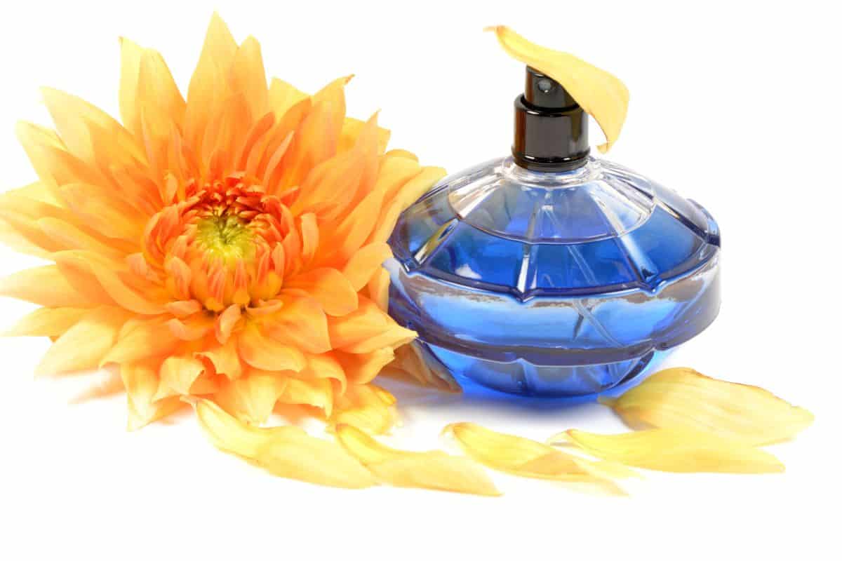 Fabulous Perfume That Smells Like Peonies Scented Chemistry