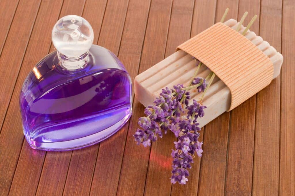 Fabulous Perfumes That Smell Like Lavender Scented Chemistry