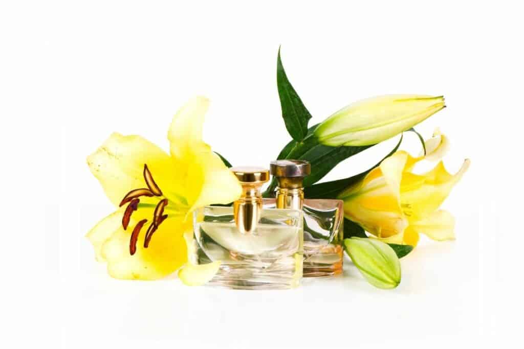 Fragrant Perfumes That Smell Like Sunscreen Scented Chemistry