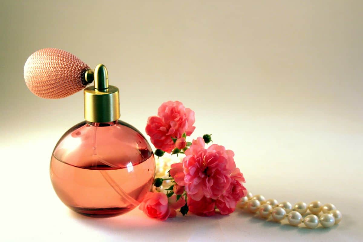 How Many Perfume Does Ariana Grande Have