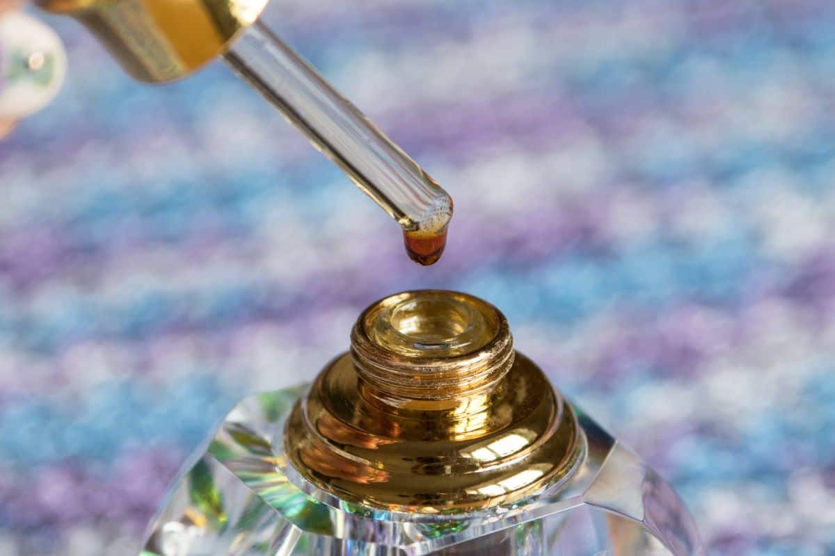 What Is Oud Perfume? Read More About This Unique Oil Scented Chemistry