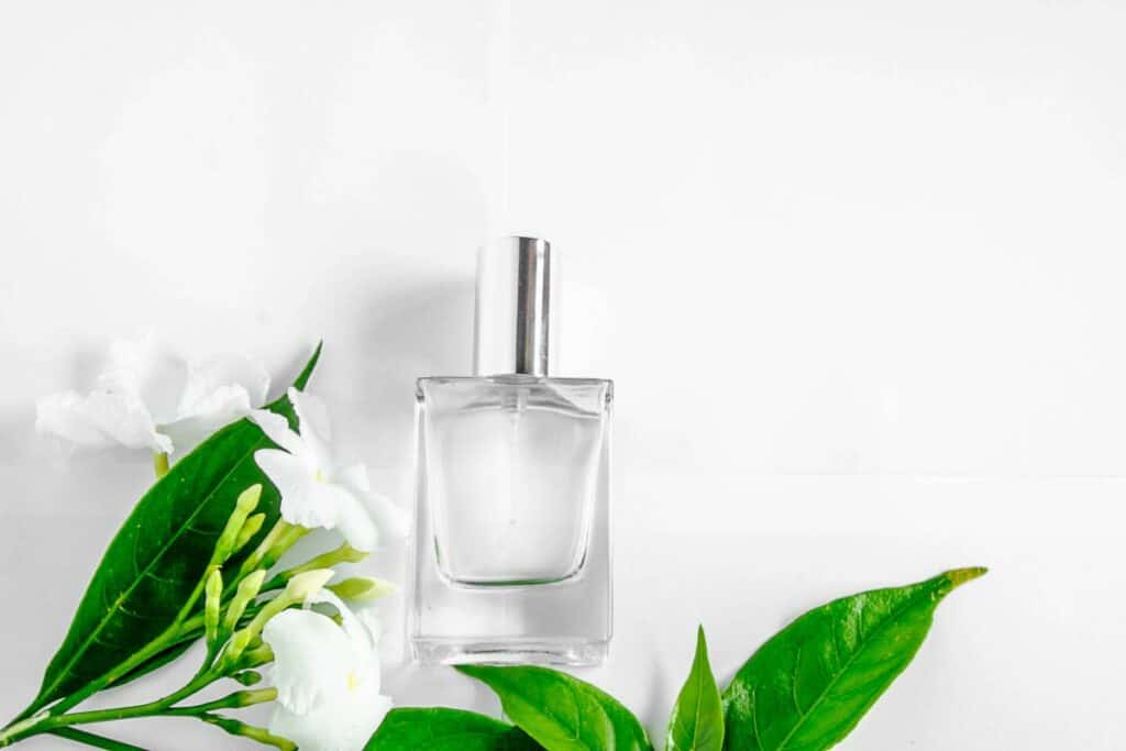 What Perfume Does Jlo Wear? – Scented Chemistry