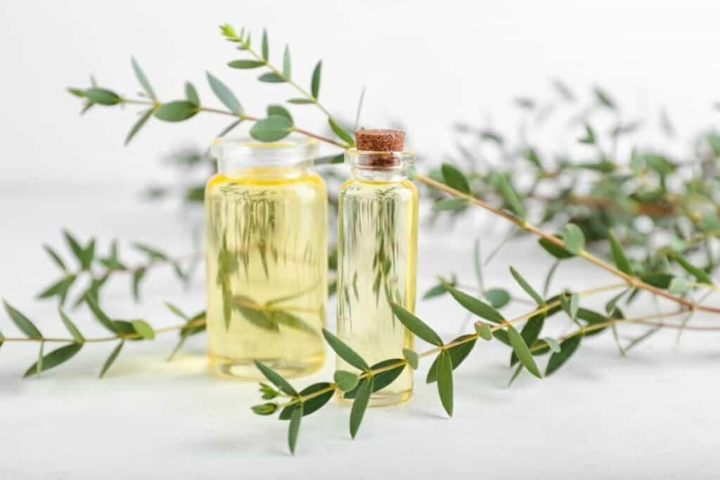 What Products Can Have A Eucalyptus Scent