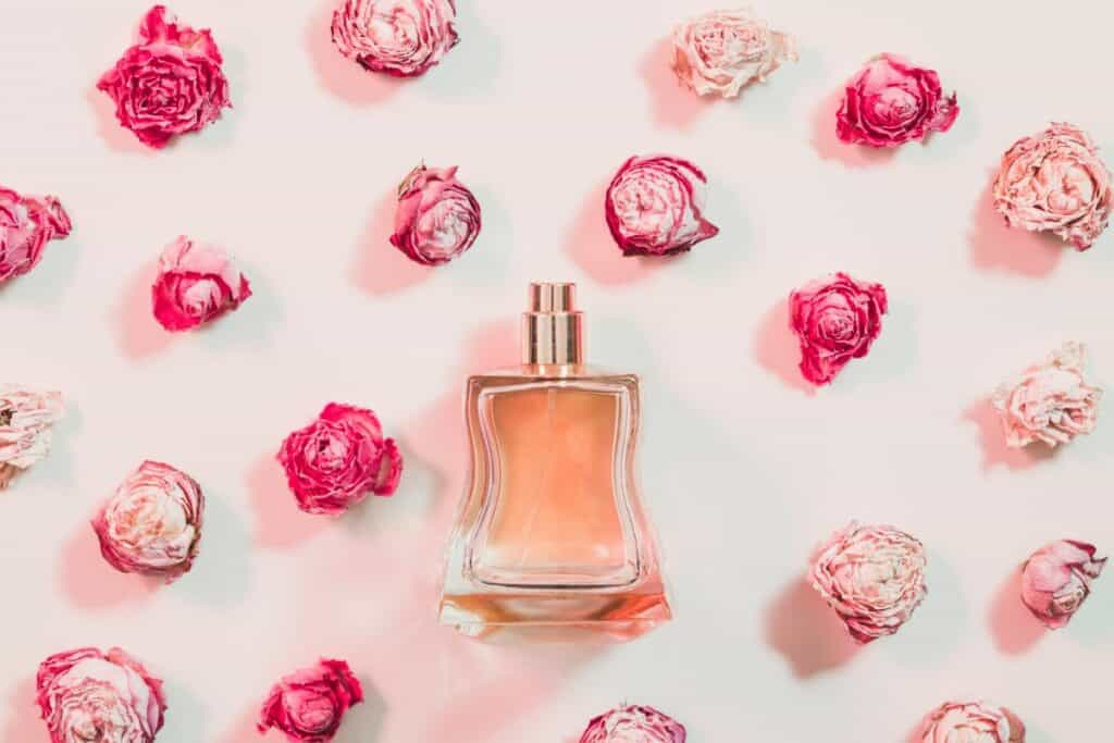 What Does Chanel Chance Smell Like? (2023 Update) Scented Chemistry